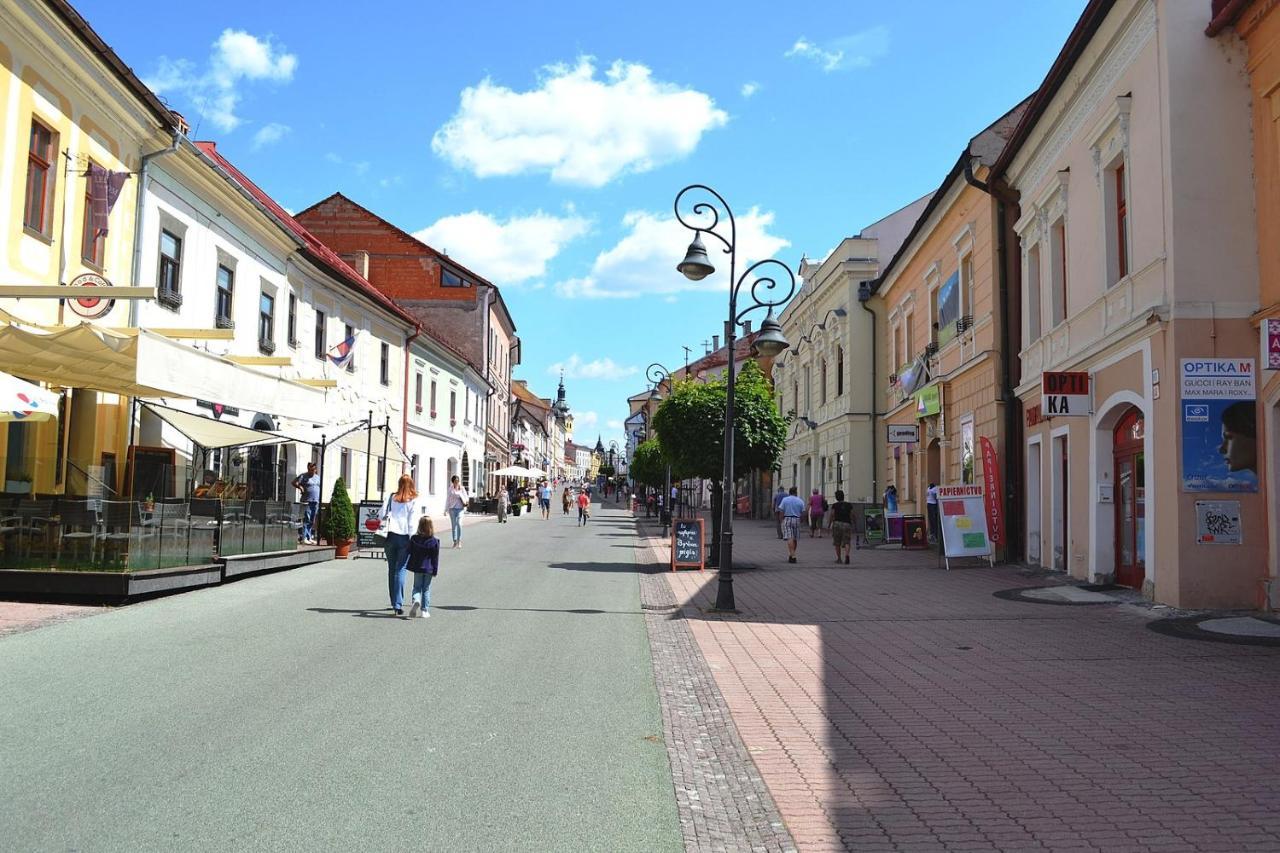 Old Town Apt. A/C And Parking Banská Bystrica Eksteriør billede